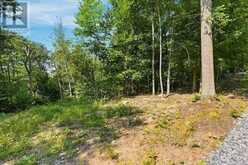 110C LOUISA STREET | Parry Sound Ontario | Slide Image Six