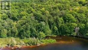 110C LOUISA STREET | Parry Sound Ontario | Slide Image Nine