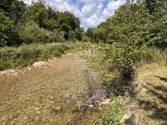 82 MARY STREET Creemore Ontario, L0M 1G0