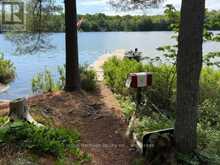 2 TROUT LAKE ISLAND | Parry Sound Ontario | Slide Image Nine