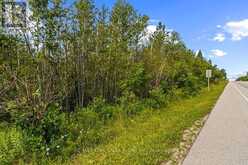 PART 2 PT LT 46 HIGHWAY 6 | Tobermory Ontario | Slide Image Eleven