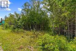PART 2 PT LT 46 HIGHWAY 6 | Tobermory Ontario | Slide Image Twelve