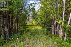 PART 2 PT LT 46 HIGHWAY 6 | Tobermory Ontario | Slide Image Thirteen