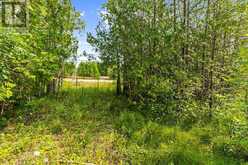 PART 2 PT LT 46 HIGHWAY 6 | Tobermory Ontario | Slide Image Sixteen