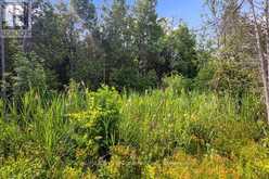 PART 2 PT LT 46 HIGHWAY 6 | Tobermory Ontario | Slide Image Twenty-seven