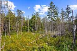 PART 2 PT LT 46 HIGHWAY 6 | Tobermory Ontario | Slide Image Twenty-eight