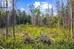PART 2 PT LT 46 HIGHWAY 6 | Tobermory Ontario | Slide Image Thirty