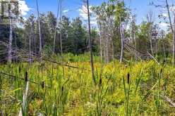 PART 2 PT LT 46 HIGHWAY 6 | Tobermory Ontario | Slide Image Thirty-one