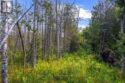PART 2 PT LT 46 HIGHWAY 6 | Tobermory Ontario | Slide Image Thirty-two
