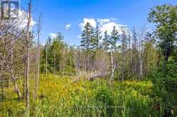 PART 2 PT LT 46 HIGHWAY 6 | Tobermory Ontario | Slide Image Thirty-five