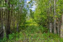 PART 2 PT LT 46 HIGHWAY 6 | Tobermory Ontario | Slide Image Three