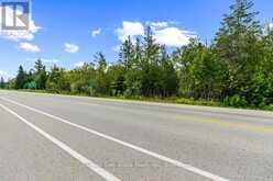 PART 2 PT LT 46 HIGHWAY 6 | Tobermory Ontario | Slide Image Four
