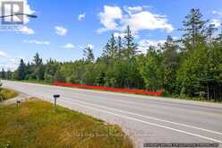 PART 2 PT LT 46 HIGHWAY 6 | Tobermory Ontario | Slide Image Eight