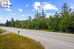 PART 2 PT LT 46 HIGHWAY 6 | Tobermory Ontario | Slide Image Nine