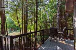 100 FORBES ROAD | Georgian Bluffs Ontario | Slide Image Eight