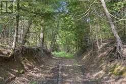 381612 CON 4 NDR ROAD | Hanover Ontario | Slide Image Ten
