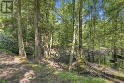 381612 CON 4 NDR ROAD | Hanover Ontario | Slide Image Thirteen