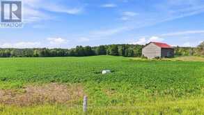 381612 CON 4 NDR ROAD | Hanover Ontario | Slide Image Three