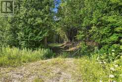 381612 CON 4 NDR ROAD | Hanover Ontario | Slide Image Seven