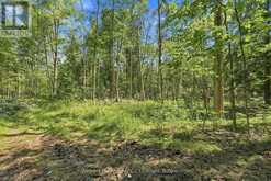 381612 CON 4 NDR ROAD | Hanover Ontario | Slide Image Eight