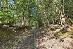 381612 CON 4 NDR ROAD | Hanover Ontario | Slide Image Nine