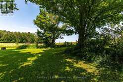 306 DAVID WINKLER PARKWAY | Neustadt Ontario | Slide Image Forty-one