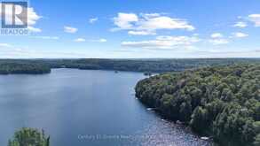 1411 TOCK LANE | Lake of Bays Ontario | Slide Image Thirty-three