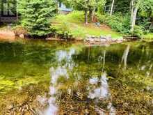 1097 HAWK VALLEY ROAD | Haliburton Ontario | Slide Image Three