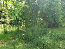 PART LOT 28 12 CONCESSION S | Arran-Elderslie Ontario | Slide Image Six