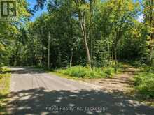 1054 BIRD LAKE ROAD | Bracebridge Ontario | Slide Image Four