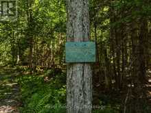 1054 BIRD LAKE ROAD | Bracebridge Ontario | Slide Image Eight