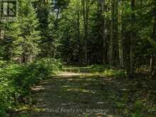 1054 BIRD LAKE ROAD | Bracebridge Ontario | Slide Image Nine