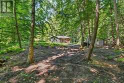 1341 GOLDEN BEACH ROAD | Bracebridge Ontario | Slide Image Sixteen