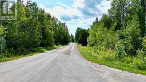 202 WHISKEY HARBOUR ROAD | Lion's Head Ontario | Slide Image Thirty-two