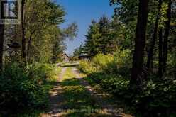 2164 169 MUSKOKA ROAD | Gravenhurst Ontario | Slide Image Fifteen