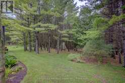 262845 VARNEY ROAD | Durham Ontario | Slide Image Thirty-five