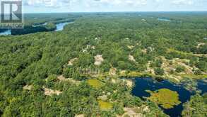 891 PENINSULA ROAD | Gravenhurst Ontario | Slide Image Forty-six
