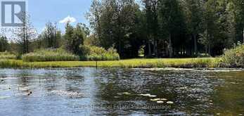 523583 12 CONCESSION | Markdale Ontario | Slide Image Seven