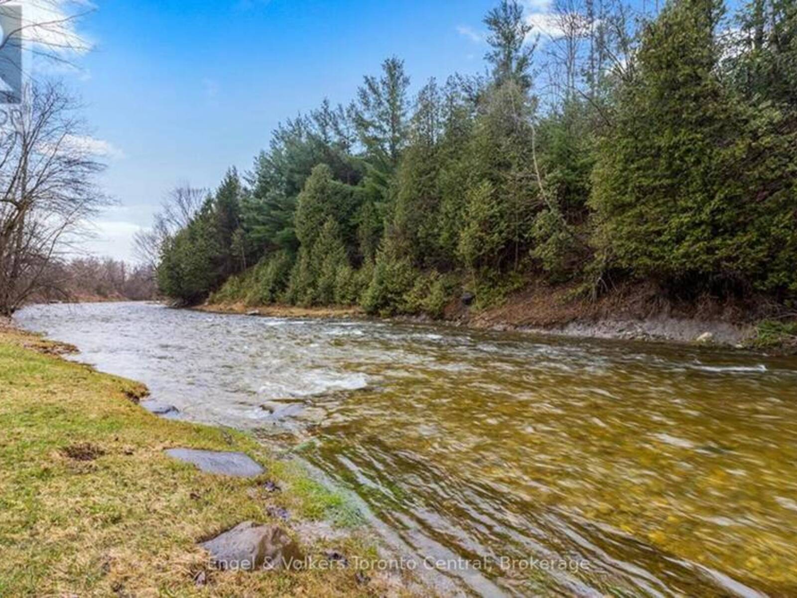 3237 COLLINGWOOD STREET, Creemore, Ontario L0M 1G0