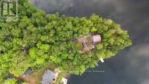 569 RALPH ROAD | Parry Sound Ontario | Slide Image Forty
