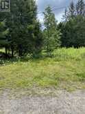21 FERNDALE ROAD | Port Carling Ontario | Slide Image Twelve
