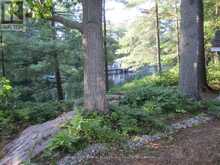 3344 GREEN RIVER DRIVE | Washago Ontario | Slide Image Forty-seven