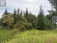 PT LT 13 GREY ROAD 4 | Priceville Ontario | Slide Image Two
