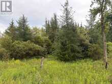 PT LT 13 GREY ROAD 4 | Priceville Ontario | Slide Image Three