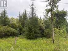 PT LT 13 GREY ROAD 4 | Priceville Ontario | Slide Image Four
