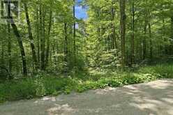 0 SALERNO LAKE ROAD | Haliburton Ontario | Slide Image Five