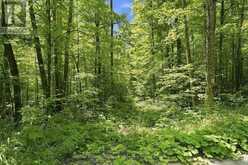 0 SALERNO LAKE ROAD | Haliburton Ontario | Slide Image Six