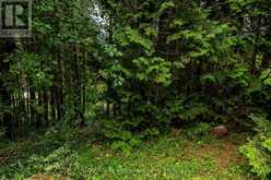 34 HILLTOP DRIVE | South Bruce Peninsula Ontario | Slide Image Nineteen