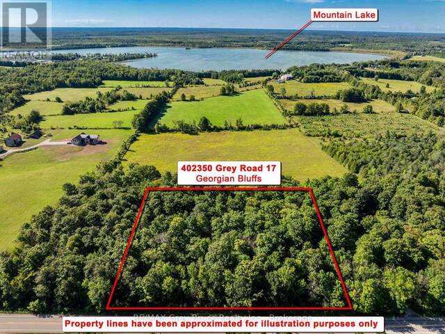 PT LT 16 CONCESSION 19 STREET Georgian Bluffs Ontario, N0H 2T0 - Vacant Land For Sale