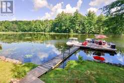38 ISLAND 130 SEVERN RIVER | Port Severn Ontario | Slide Image Nineteen